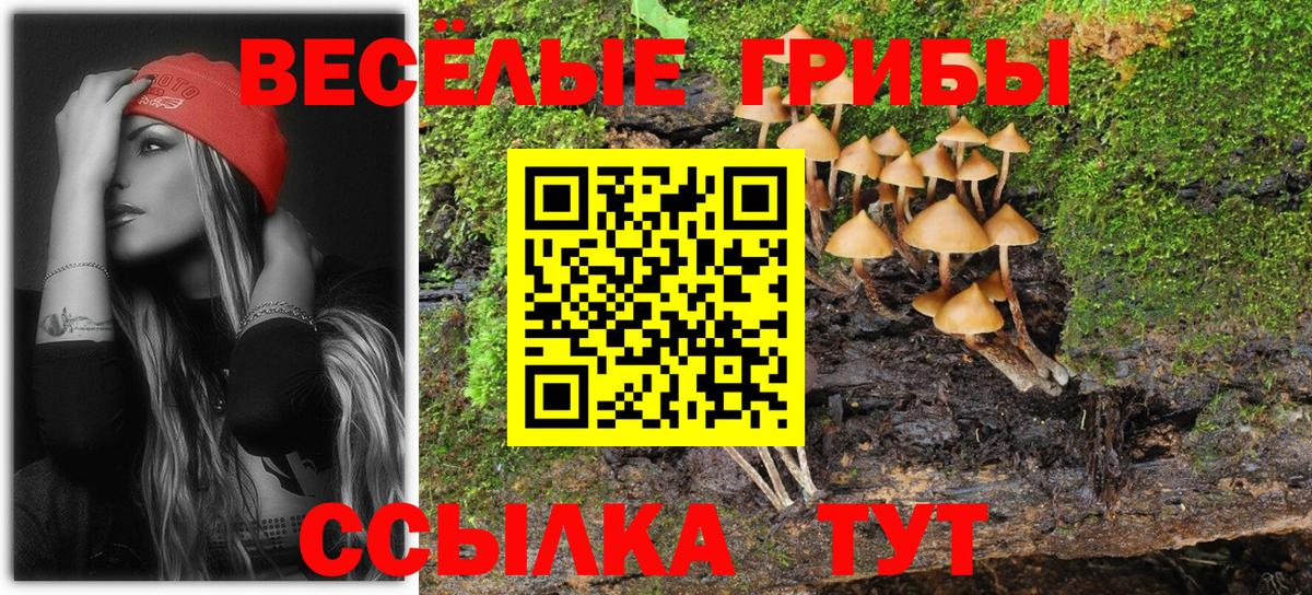 Йошкар-Ола  Псилоцибиновые грибы MAGIC MUSHROOMS  Вход с VPN 